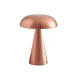 lampe-champu-pour-eclairage-de-repas lampe Champu pour éclairage de repas