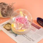 mini-rose-eternelle-rose Mini Rose Eternelle Rose