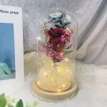 Rose Eternelle Bordeaux