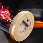 rose-immortelle-multicolore rose immortelle multicolore